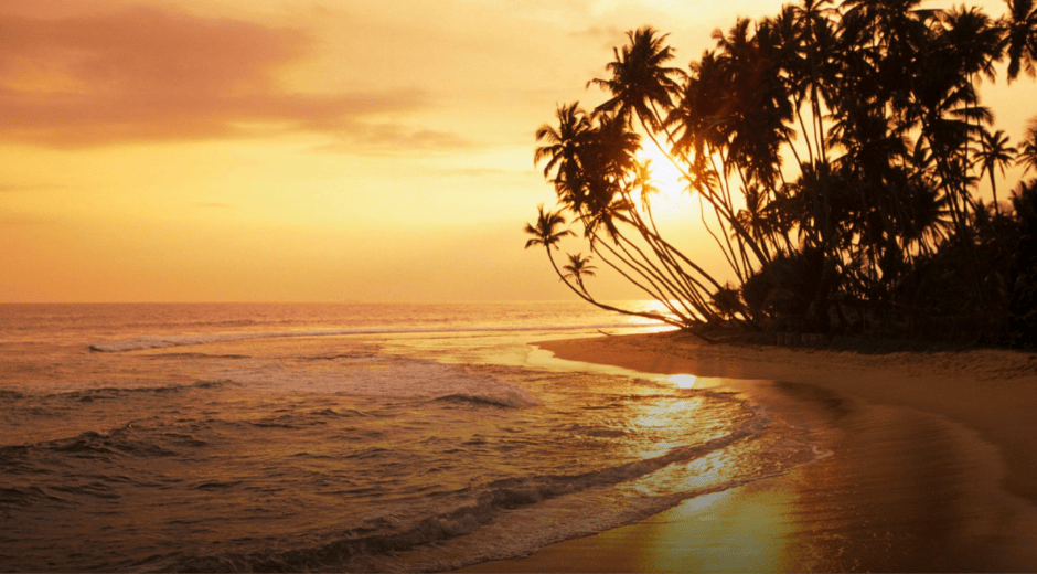 Sri Lankan golden coasts