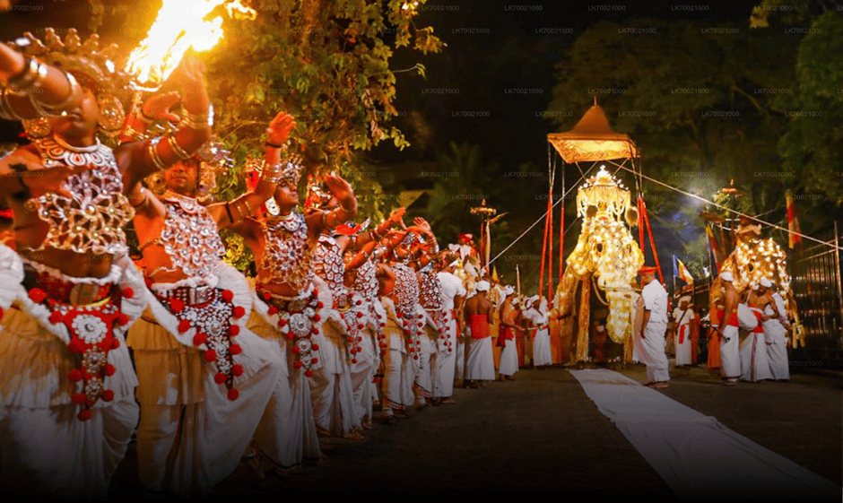 Kandy Perahera Festival Sri Lanka