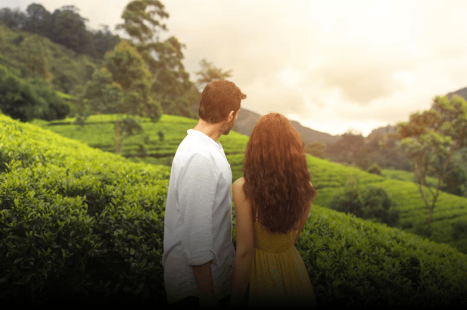 Sri Lankan mountain tea plantations