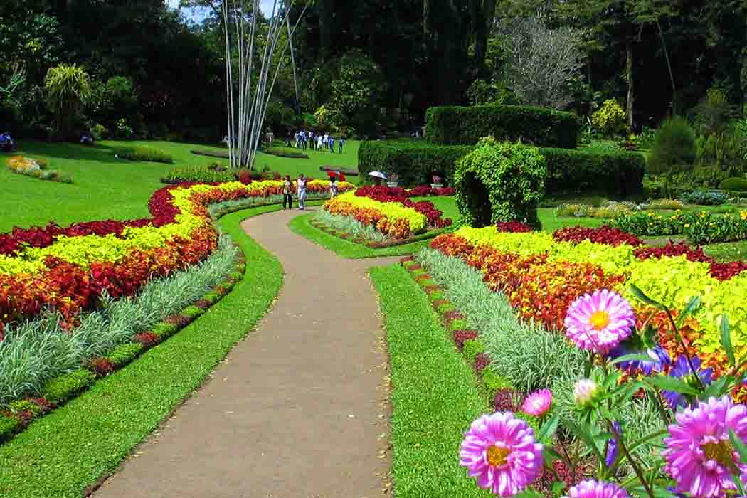Sri Lanka Best Time to Travel