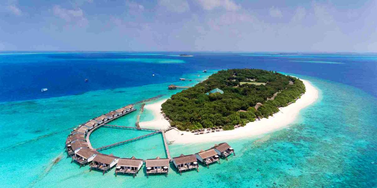 Reethi-1-1