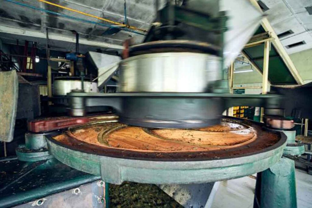 Tea-Factory-10