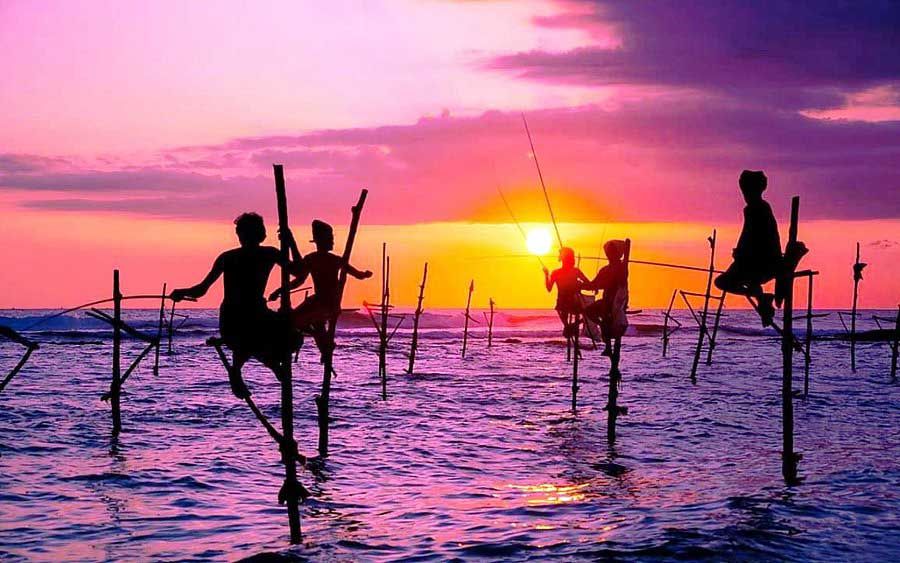 stilt-fishing01