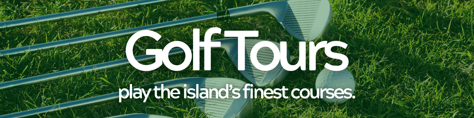Family Tours Banner