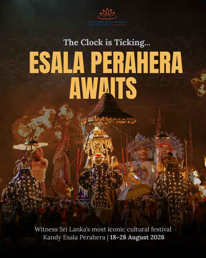 Esala Perahera Awaits - Mobile