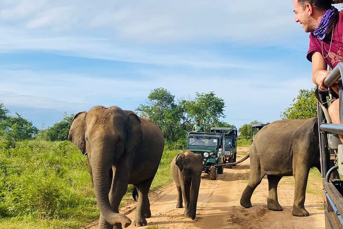 Open-top 4x4 safari jeep encountering wild elephants on a red dirt trail in Udawalawe.