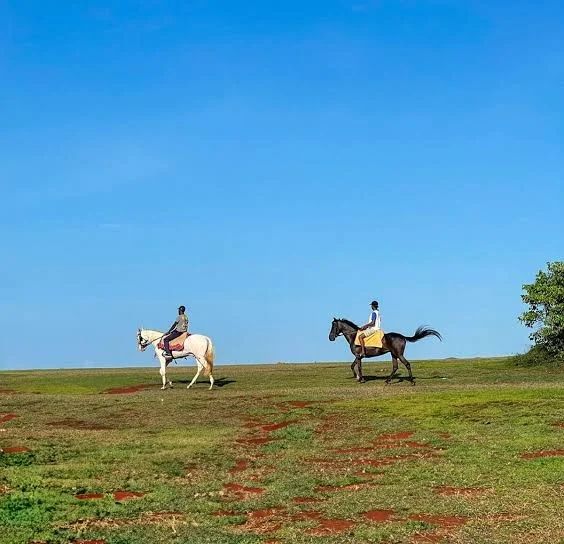 Equitazione