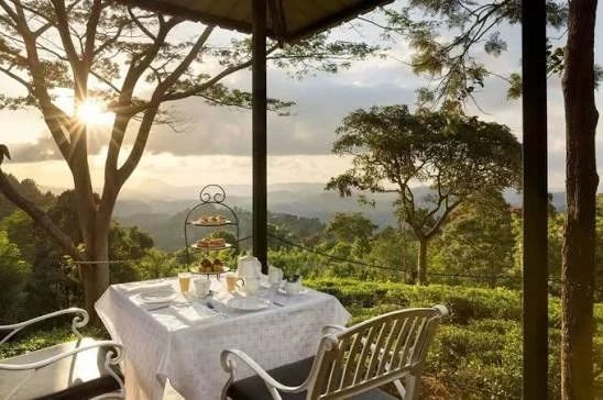 High Tea