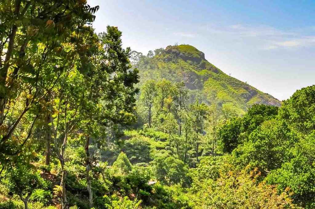 Little Adam’s Peak