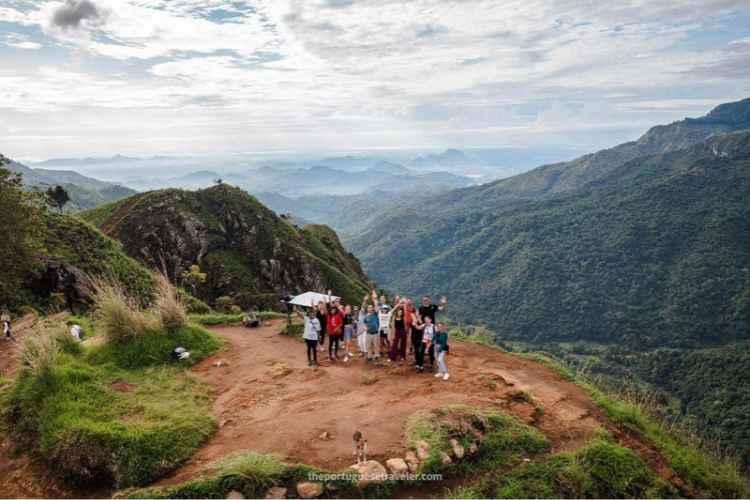 Scenic walking trail winding through lush green tea plantations at Little Adam's Peak Ella