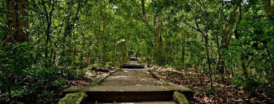 Double meditation platforms Padhanaghara inside Ritigala Sanctuary ruins