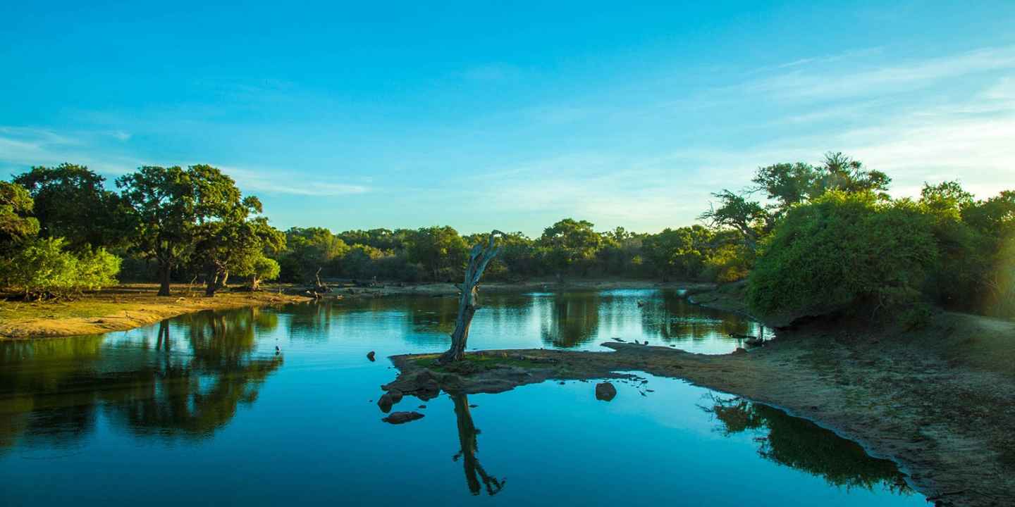 Habarana