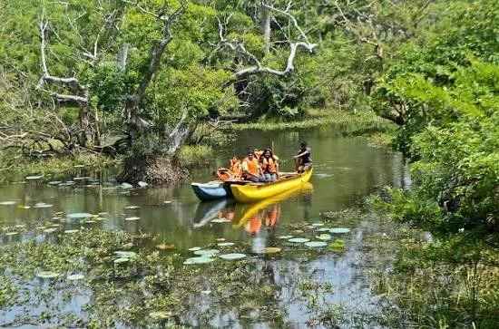 Habarana - Scenic morning catamaran boat ride across peaceful lake waters