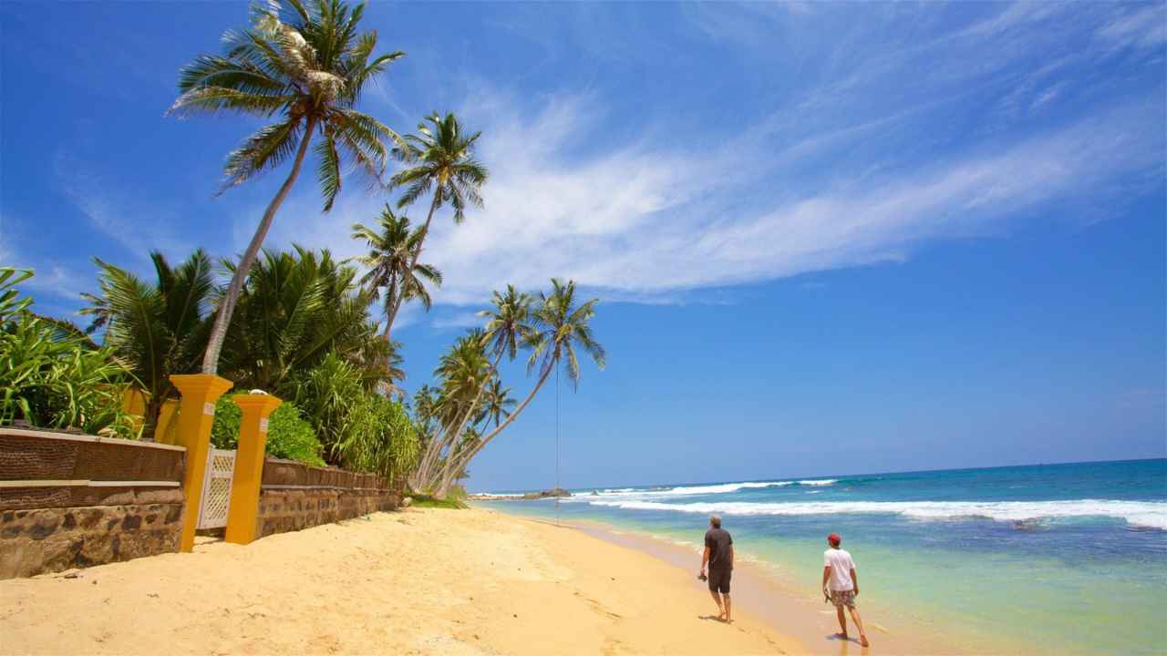 Best time to travel to Sri Lanka - Tropical beach with palm trees and sunny ocean views