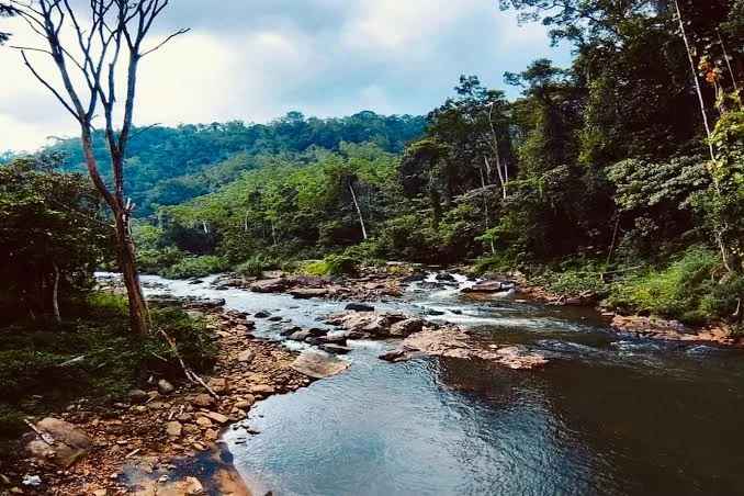 Sinharaja Forest Reserve