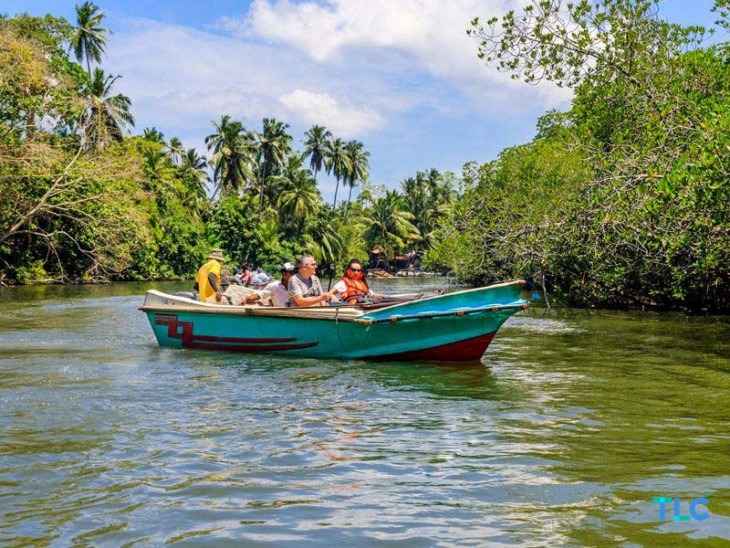 Safari sul fiume Madu Ganga con una barca che attraversa rigogliosi tunnel di mangrovie