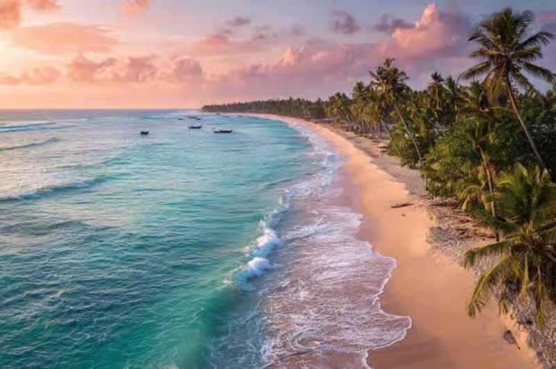 Riva tranquilla di Nilaveli Beach costeggiata da palme a Trincomalee Sri Lanka