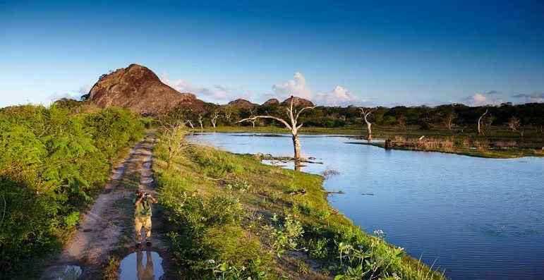 Paesaggio panoramico della laguna costiera all'interno del Parco Nazionale di Bundala in Sri Lanka