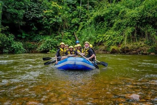Scenic lush rainforest surroundings along the Kelani River during rafting in Kitulgala