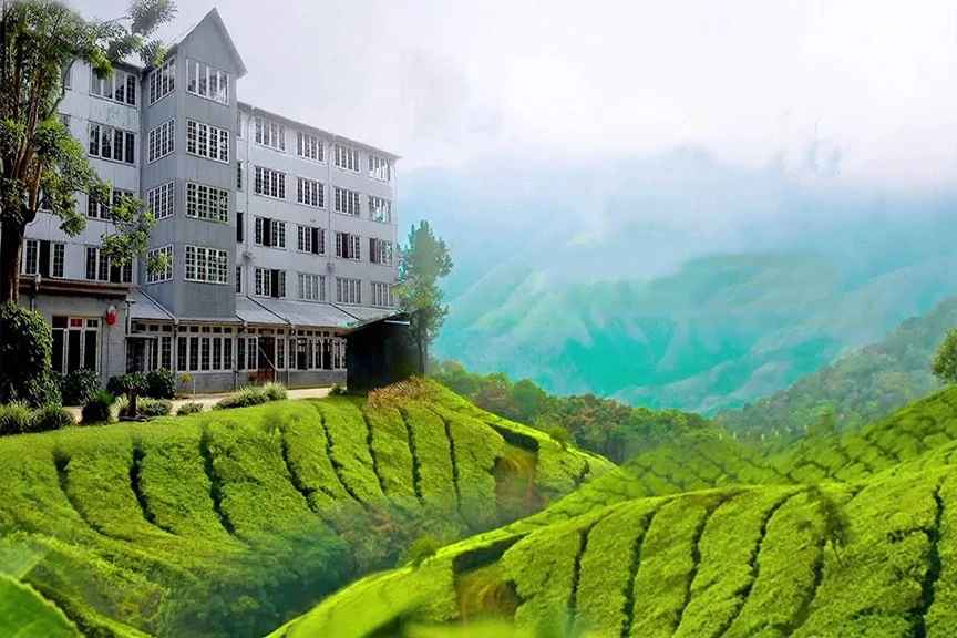 Ceylon Tea Museum ai piedi dei Monti Hantana vicino a Kandy