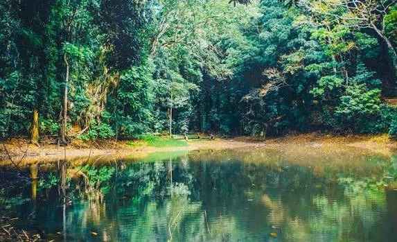 Historic Royal Pond nestled deep inside Udawattakele National Reserve forest