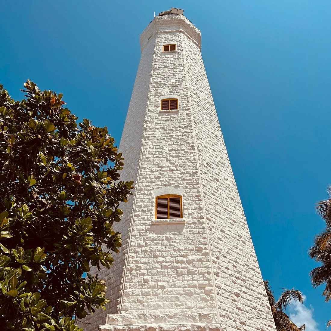 Faro di Dondra circondato da palme tropicali a Dondra Head, Sri Lanka