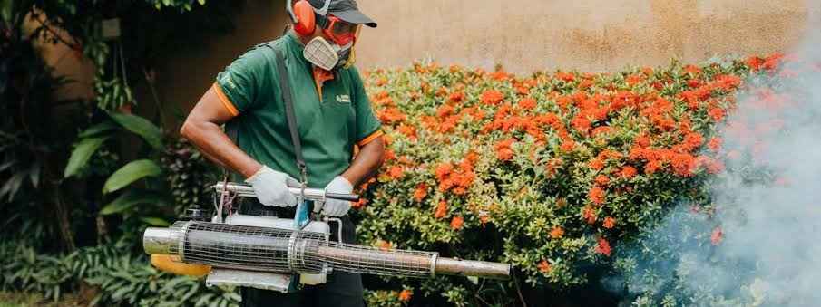 Traveler applying mosquito repellent for dengue prevention in Sri Lanka tropical rainforest