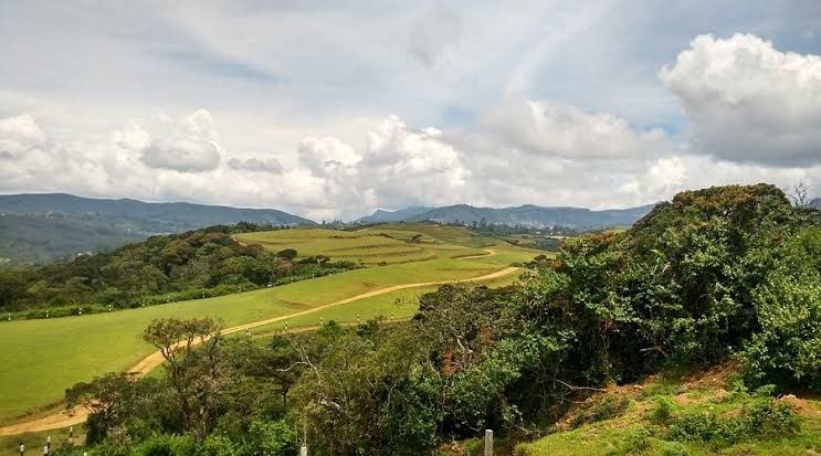Moon Plains in Nuwara Eliya