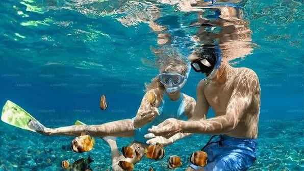 Snorkeler swimming with a Blacktip Reef Shark in the shallow crystal waters of Pigeon Island.