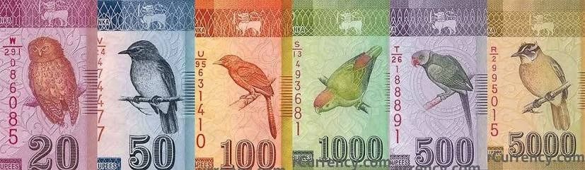 Colorful Sri Lankan rupee banknotes showcasing endemic birds, butterflies, and traditional dancers.