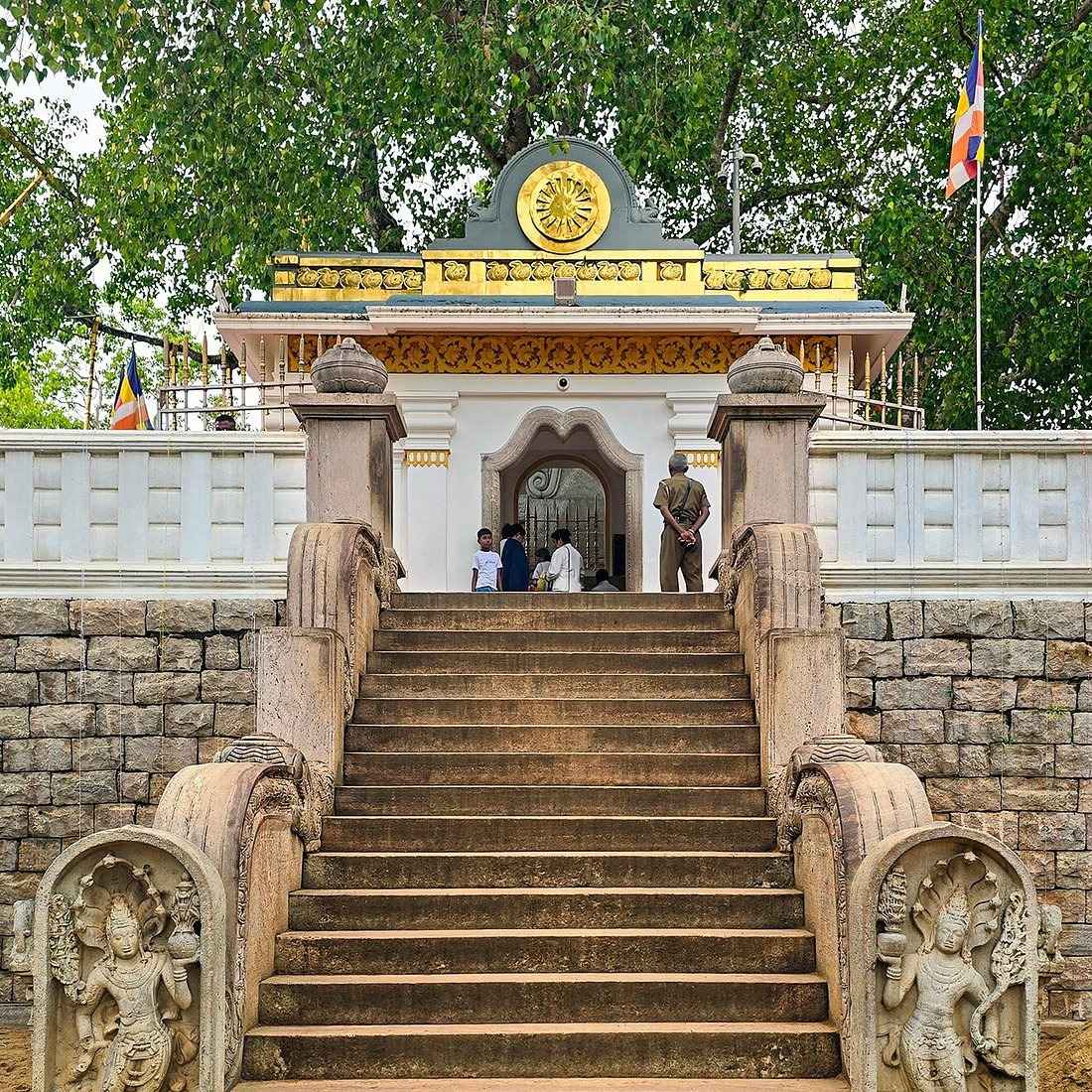 Buddhist pilgrims meditating before the golden railing of Jaya Sri Maha Bodhi in Anuradhapura.