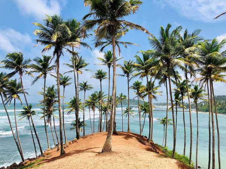 Panoramic view of Coconut Tree Hill and the turquoise coastline in Mirissa Sri Lanka.