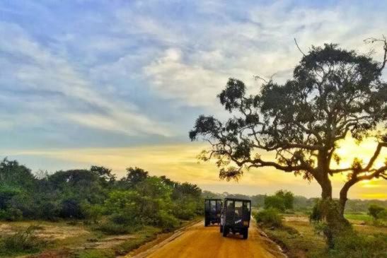 4x4 safari jeep driving along red dirt tracks during sunset in Yala National Park.