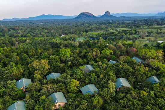 Habarana - Tropical gardens and luxury eco-lodge swimming pool in Sri Lanka