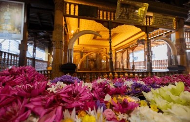 Devoti che offrono fiori di loto viola freschi all'interno del santuario del Tempio del Dente a Kandy
