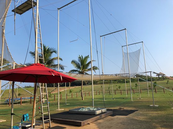 Flying Trapeze