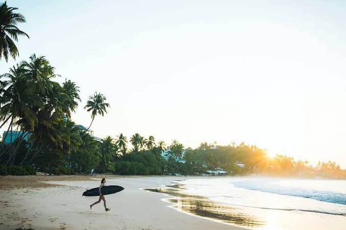 A surfer walking along the scenic golden sands of Kudawella Beach under coconut palms during a warm sunny day