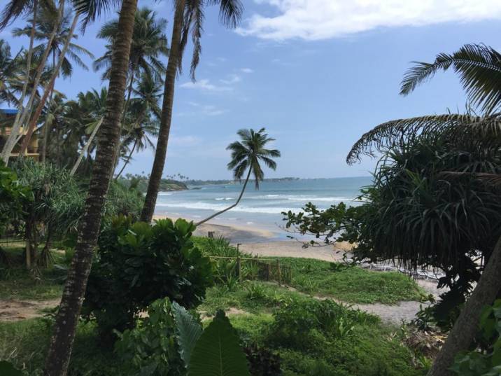 Scenic view through lush tropical trees and coconut palms overlooking the serene Lakshawaththa Beach and ocean