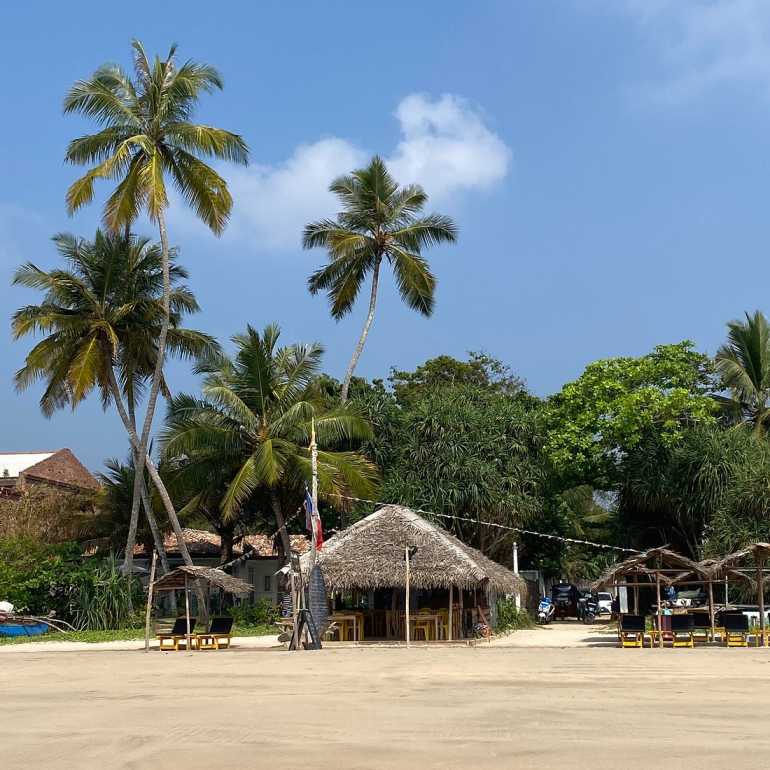 Cozy beachfront pavilion and palm trees under a bright blue tropical sky at Mawella Beach