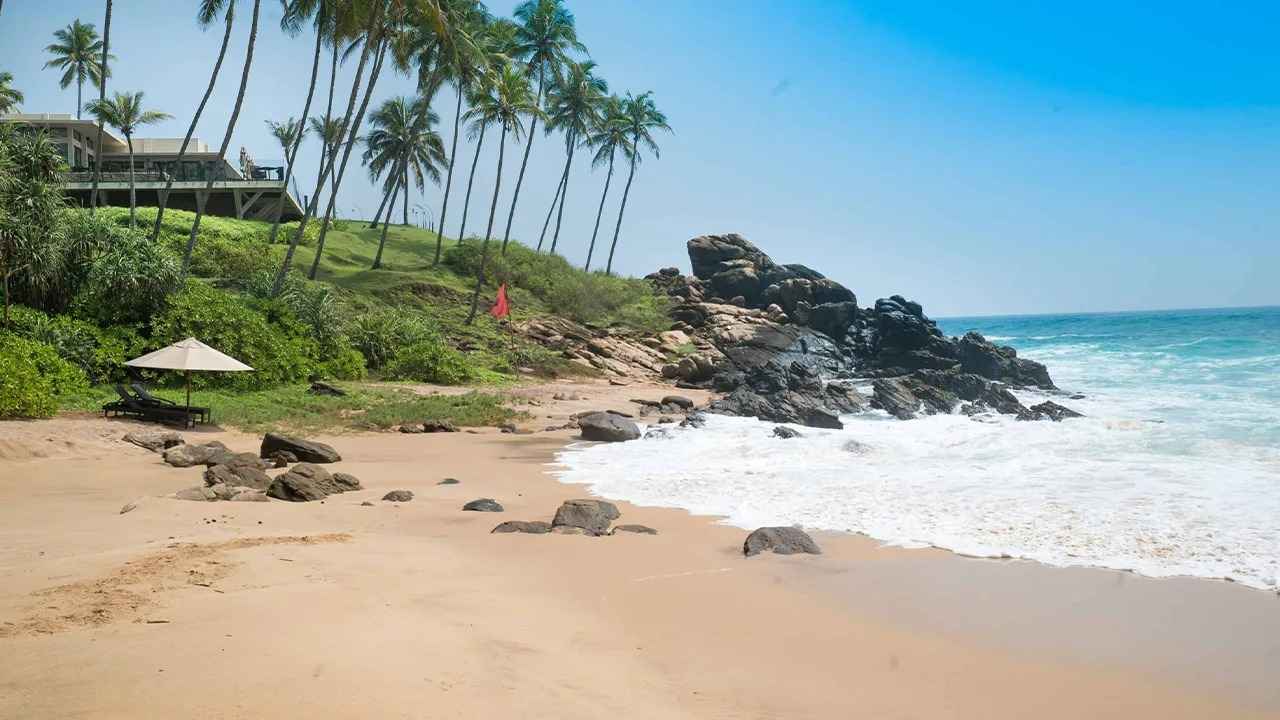 Lush coconut palms, rocky shoreline, and relaxing beach loungers overlooking the ocean at Mawella