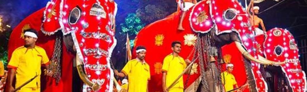 New-Sri-Lanka-En-9-Dias-Especial-Esala-Perahera.jpg