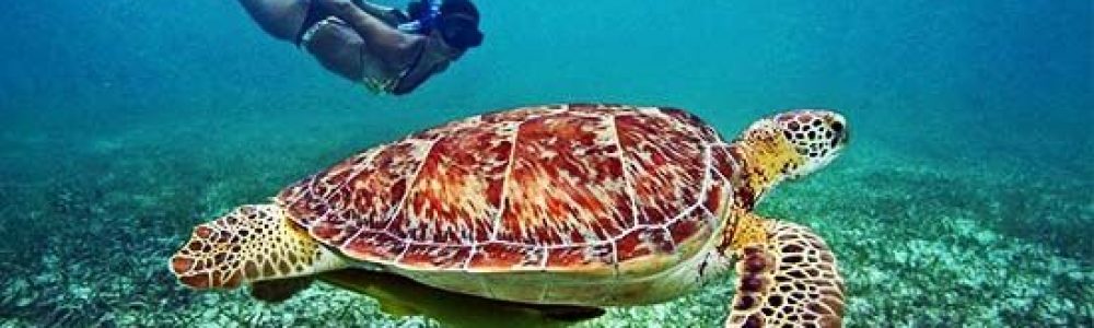 Sri-Lanka-11-Dias-El-Buceo-En-La-Mitica-Isla.jpg